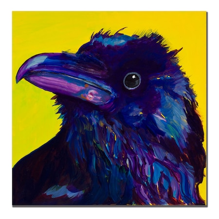 Pat Saunders-White 'Corvus' Canvas Art,14x14